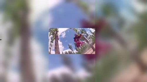 国产剧经典片段素材视频,重温那些感动与回忆