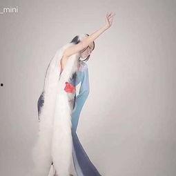 国产动画片歌曲舞蹈视频,国产动画歌曲舞蹈盛宴