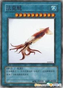 搞笑国产神兽视频,国产神兽搞笑视频大盘点