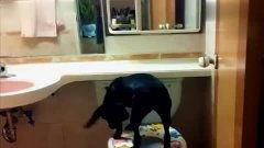 国产盗摄厕所高清视频,隐私边界何在？