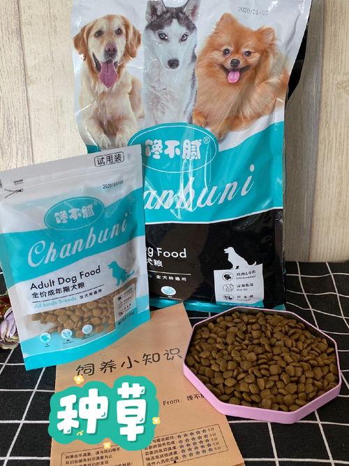 国产美毛狗粮视频网站,守护宠物毛发健康，尽在视频一网打尽