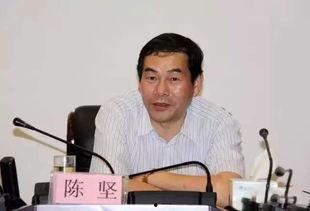 国产男子陈坚简介图片视频