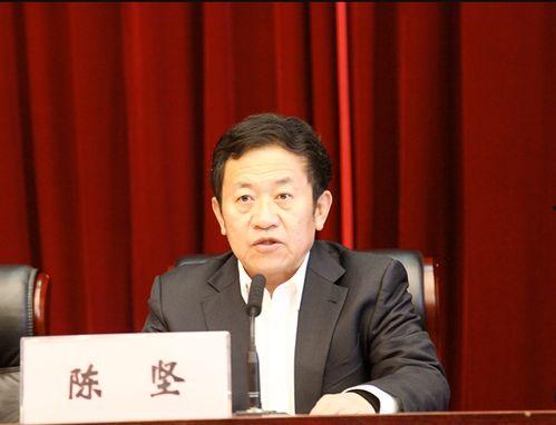 国产男子陈坚简介图片视频