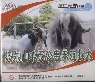 国产波尔山羊视频,探寻我国肉羊产业的璀璨明珠