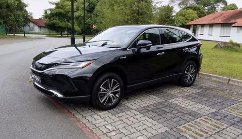 韩国产西瓜视频名字叫啥,韩国产西瓜，带你领略异国风味