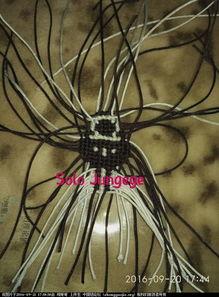 国产眼镜蛇造型教程视频,打造独特蛇形眼镜风采