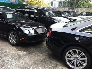 国产豪车大师视频大全,大师视频大全深度解析