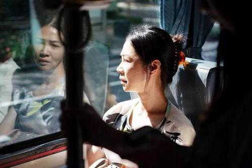 国产免费同志视频,探索多元情感世界的窗口