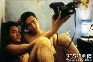 国产免费同志视频,探索多元情感世界的窗口