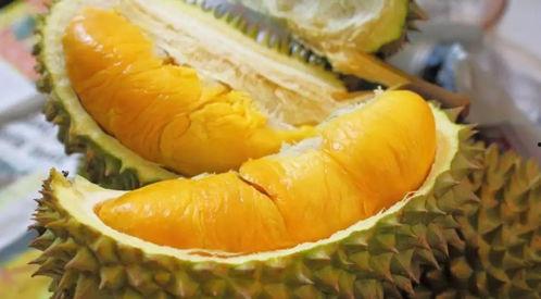 国产榴莲成熟声音视频大全,一场味蕾与听觉的双重盛宴