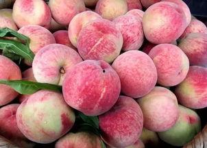 水蜜桃国产成人免费视频,成人免费视频中的甜蜜诱惑